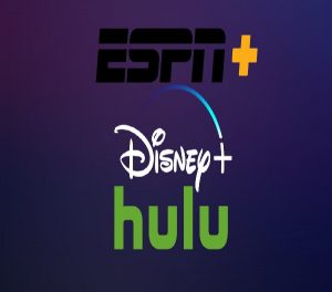 Hulu, Disney+, Espn+ Bundle – Quarter Figure